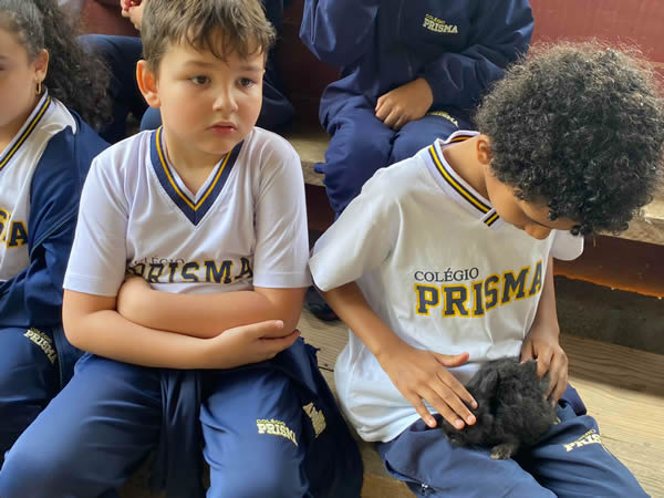Bicho Mania 2022